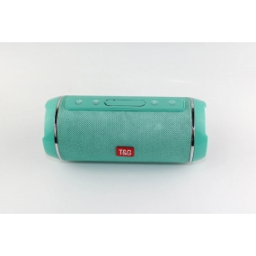 Coluna Bluetooth Portátil - TG-116 2